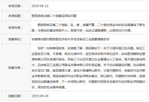 肥西縣桃花鎮二_慶典演出活動策劃執行十埠建設滯后?官方回復